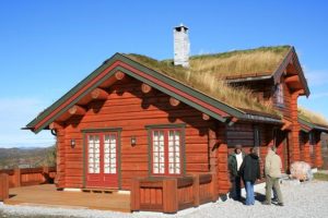 Внешний вид и технология строительства норвежского дома